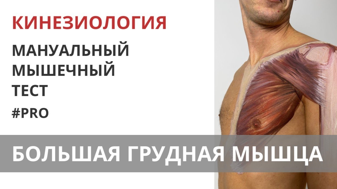 БОЛЬШАЯ ГРУДНАЯ МЫШЦА. Мануальный тест. Прикладная Кинезиология. (Александр Пилюгин)