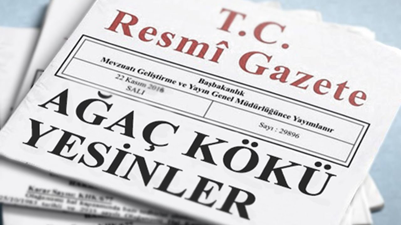 Sivil Ölüm: Akademisyen İhraçları