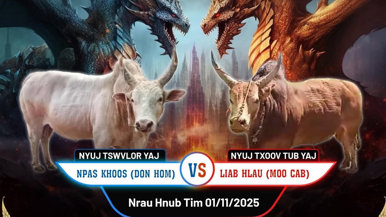 Nyuj Npabkhoo Vs Nyuj liabhlaus 1/11/2025 Nyuj Sib Nraus MoosCab 