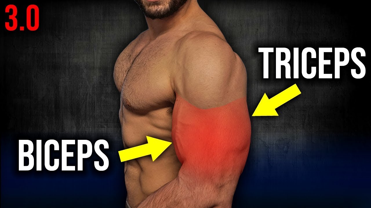 6min Home BICEPS and TRICEPS Workout 3.0 (DUMBBELL ARM WORKOUT!!)