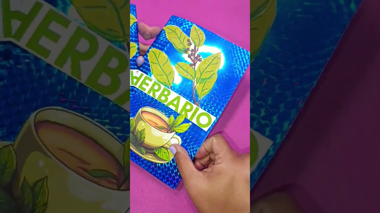 Te ense&ntilde;o hacer un HERBARIO a mano paso a paso ⤵️ #herbario