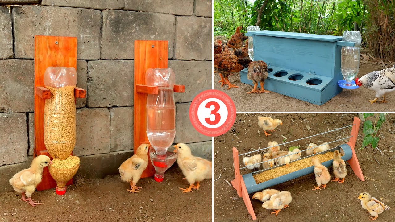 Top 3 most viewed diy chicken feeder & waterer ideas