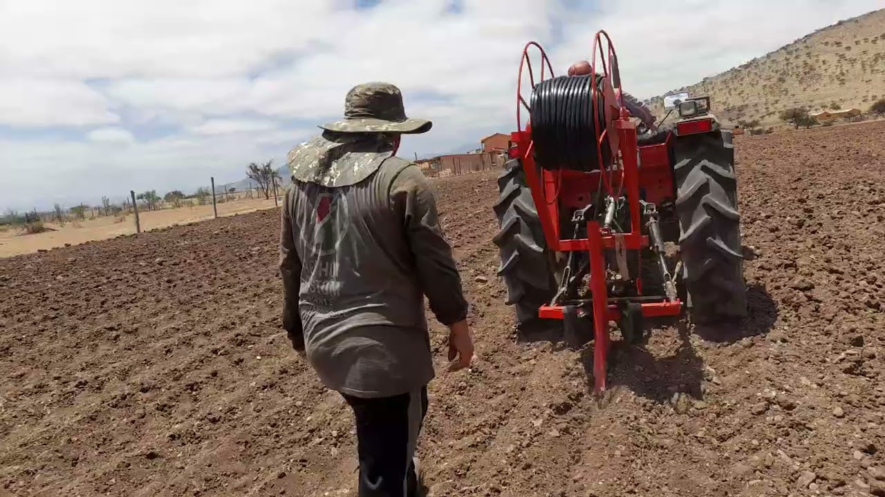 RIEGO POR GOTEO SUBTERRANEO PARA ALFALFA