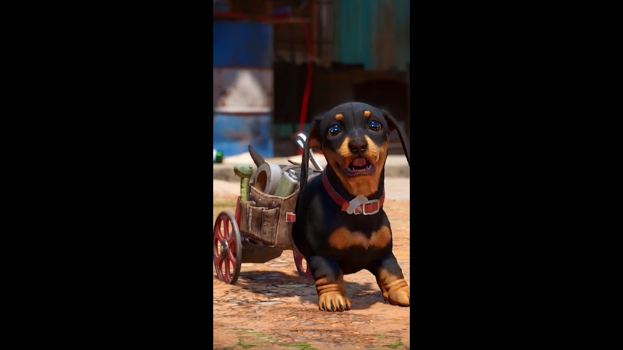Chorizo the weiner dog! Far Cry 6 #Shorts
