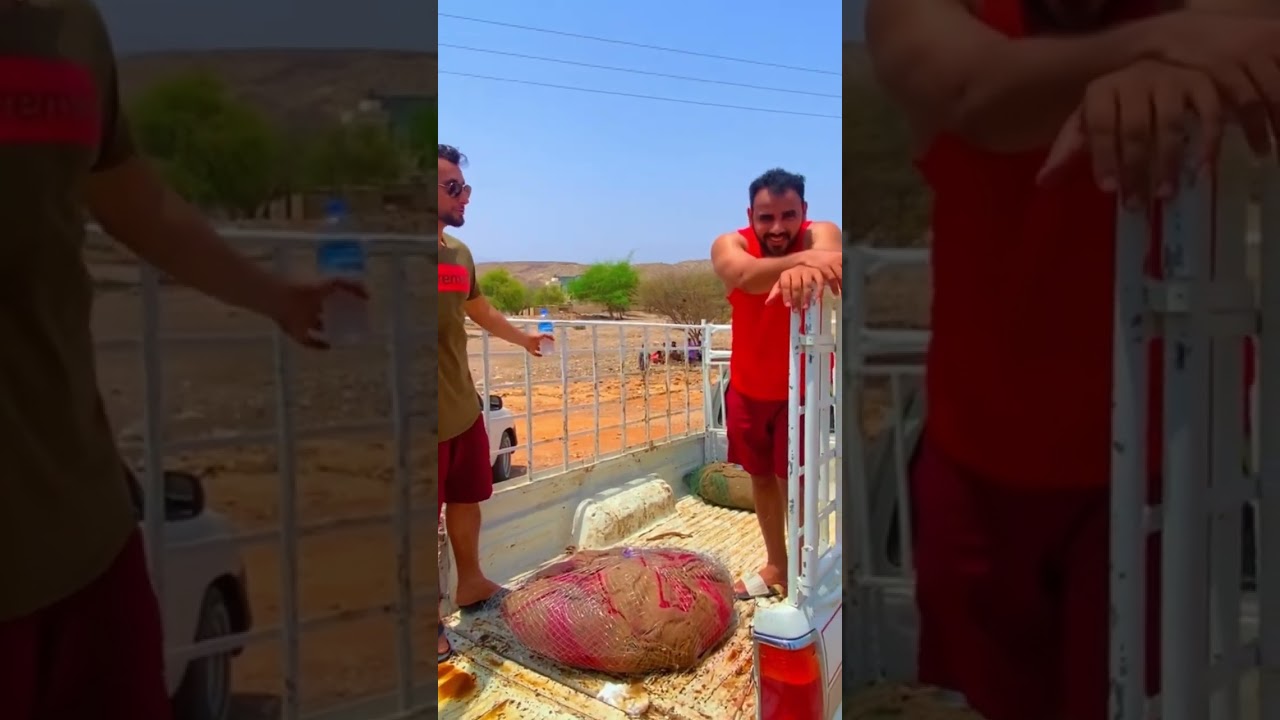 فعاليات عيد الاضحى المبارك