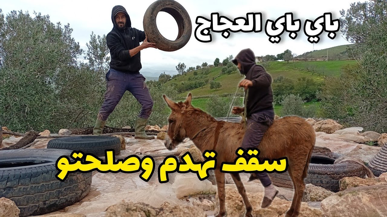  العجاج والروينة والسقف بغا يطير فالسماء وتهدم سقف الحمارة وصلحتو