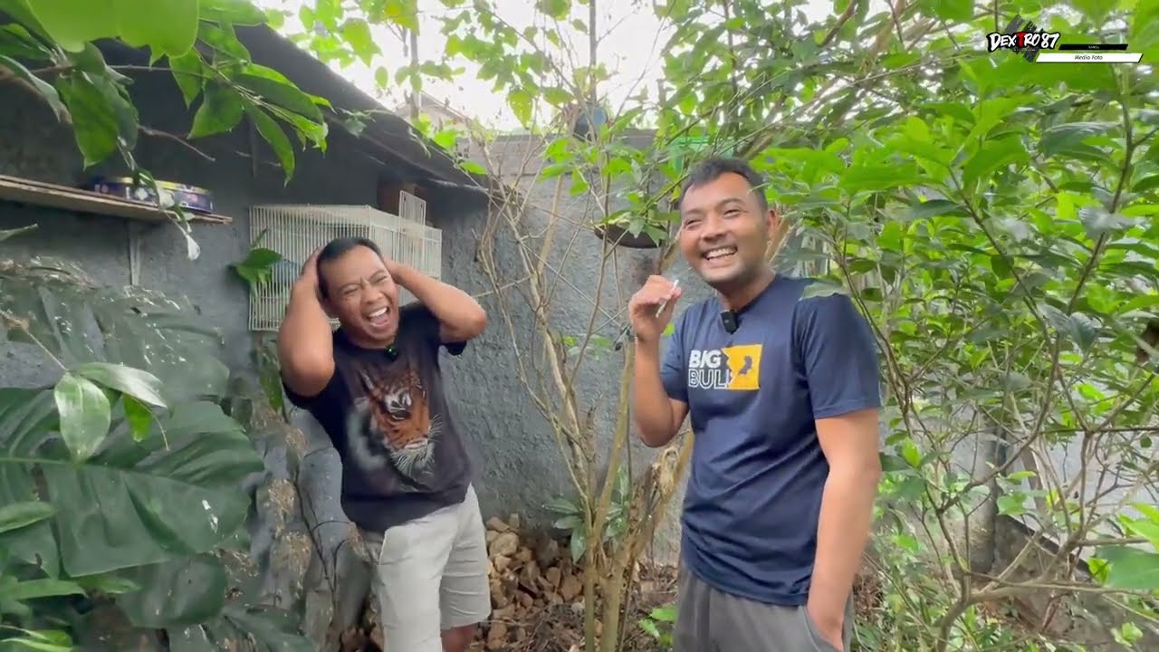 Aviary Sahdu yang bikin betah dirumah.😱👌🏻
