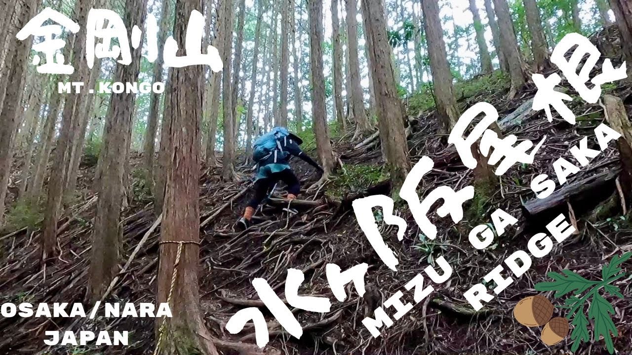 A NEW WAY!?!🤩61回目の金剛山は、「水ヶ阪ルート」に初挑戦