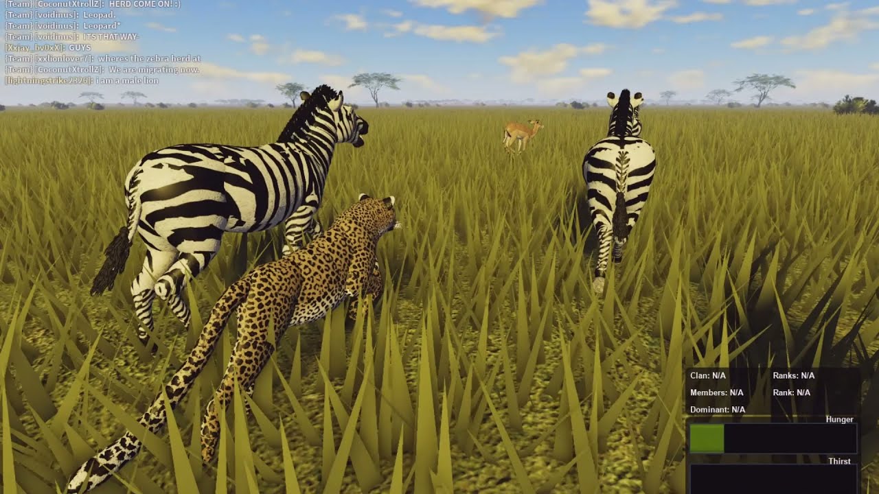 Leopard Hunts Zebra Herd! | Roblox Wild Savannah.