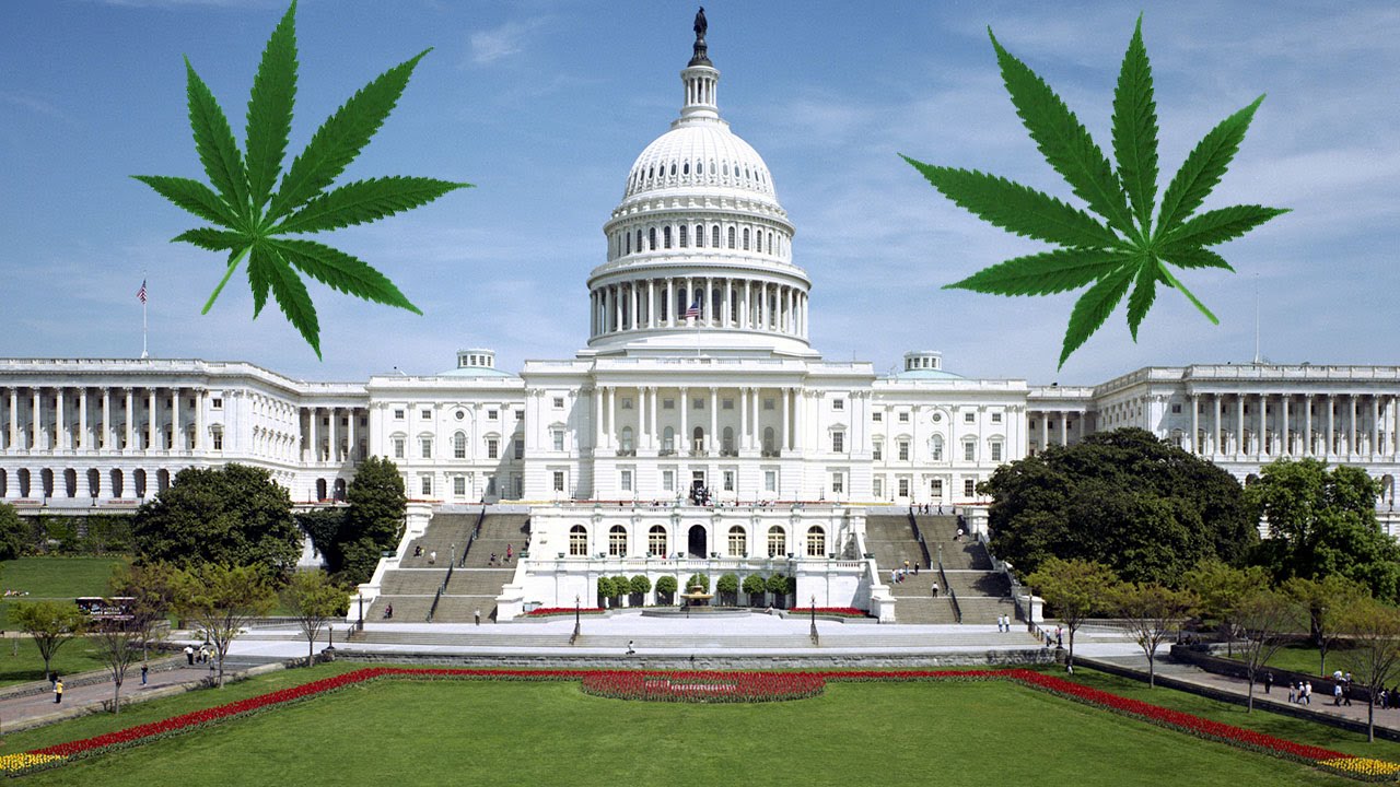 Politicians Use False Stats To Keep Marijuana Illegal