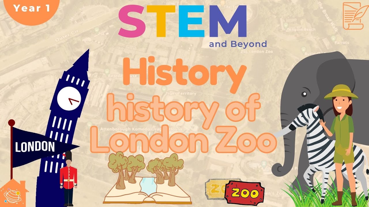 History of the London Zoo | KS1 History Year 1 | Home Learning