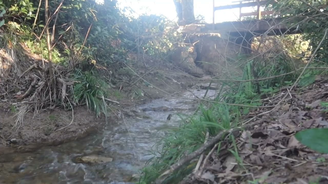 Creek