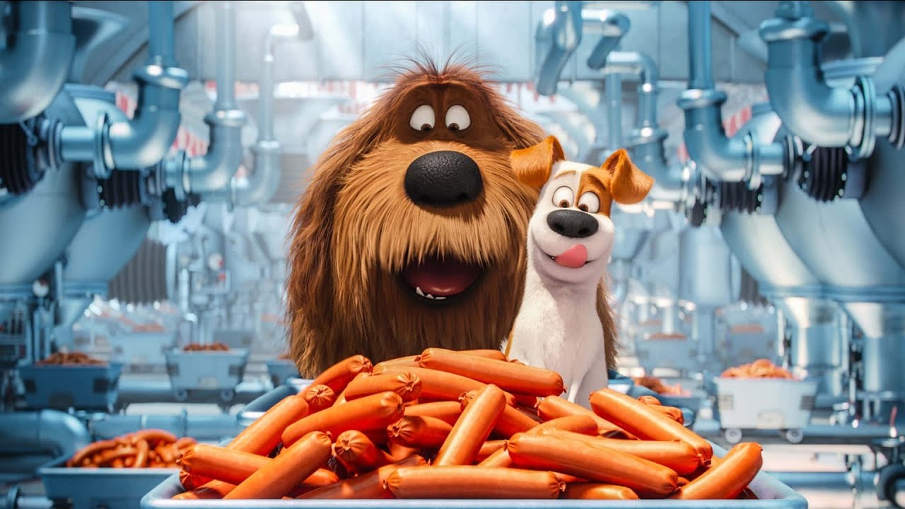 Ultimate Secret Life of Pets Cartoon Quiz! (VIRAL)