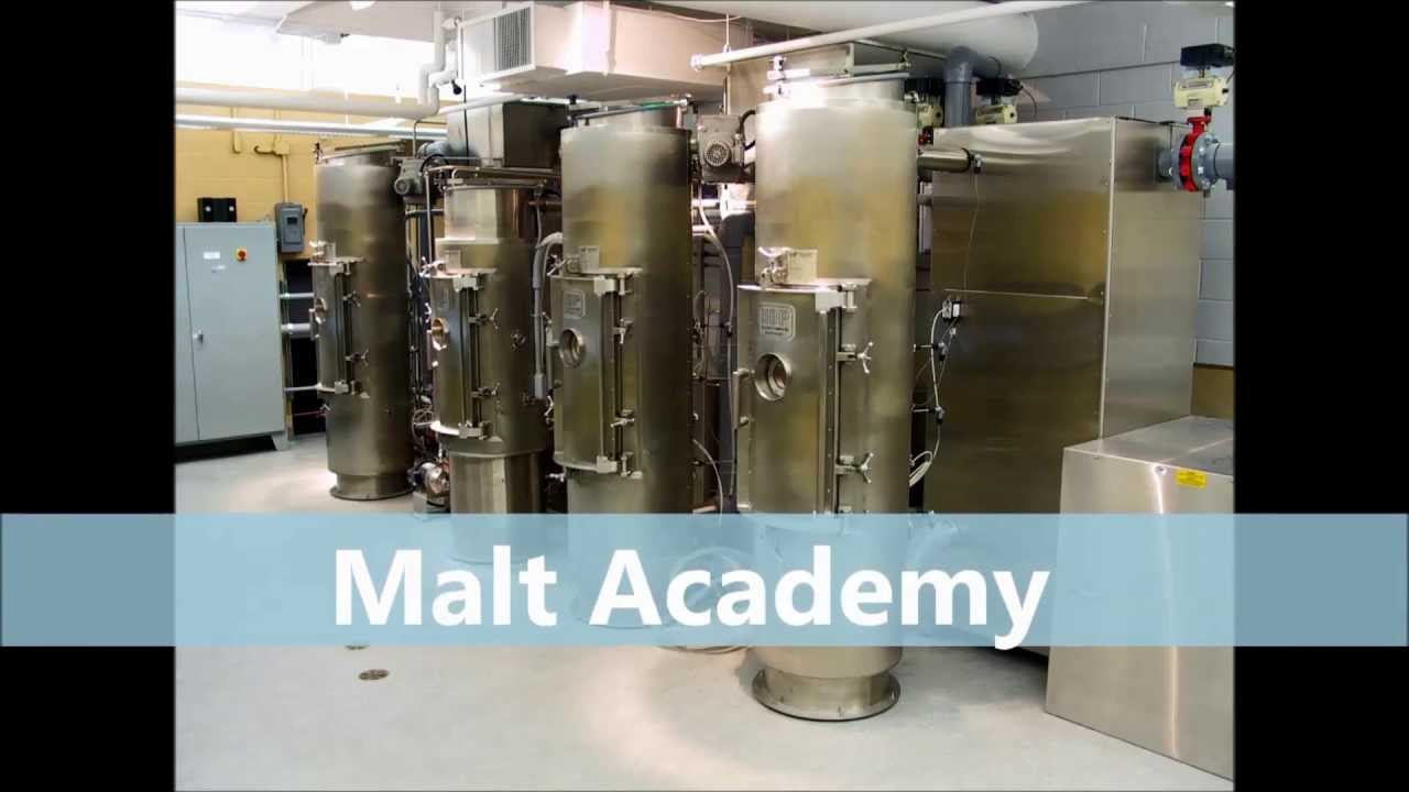 Malting Barley - Malting Process