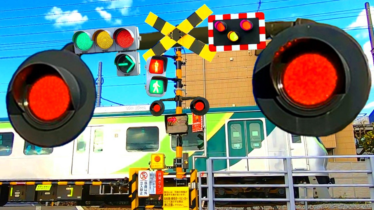 【電車】踏切動画【ふみきり 鉄道】train railway railroad level crossing  多摩川線