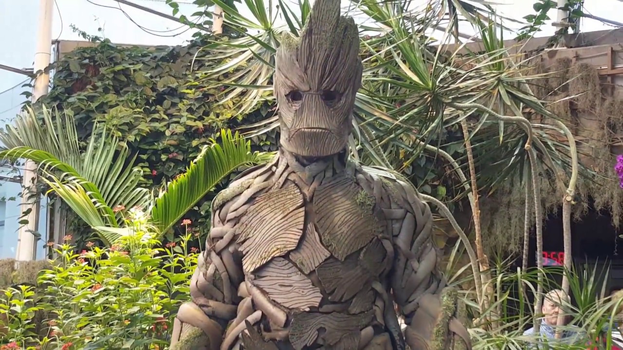 Gorgeous Video of Groot Cosplay