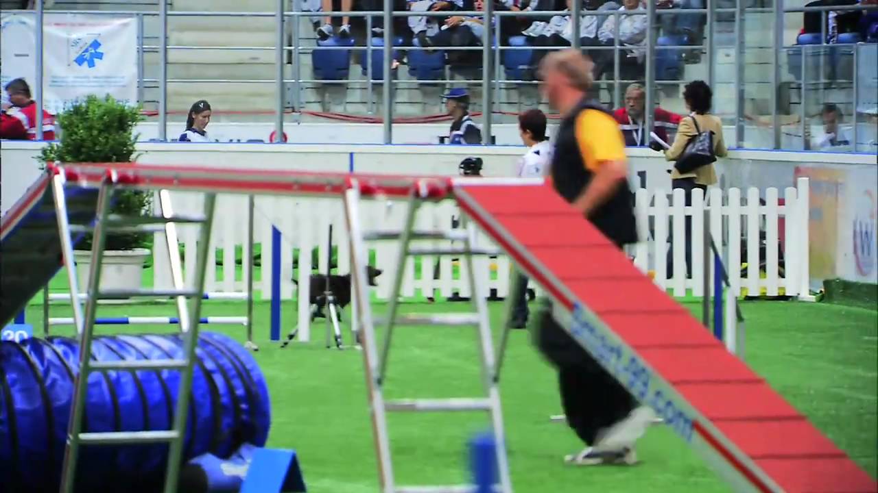FCI Agility World Championship 2006