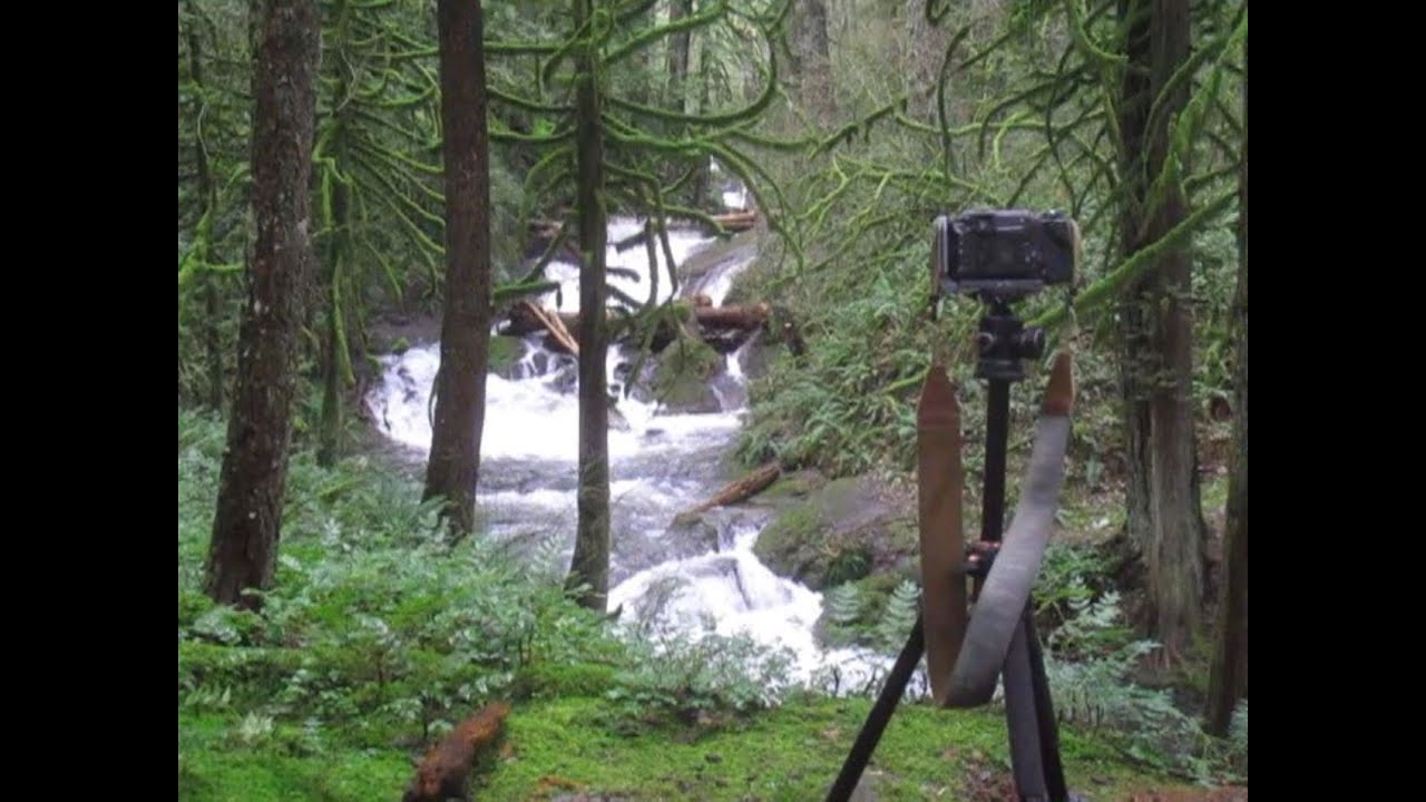 Shooting Forests and Waterfalls in Southwest Washington