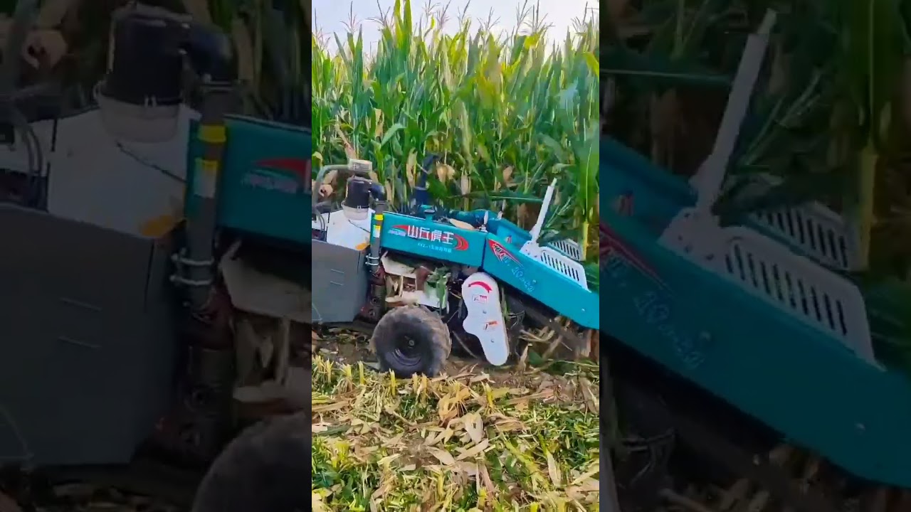 Rural Areas and Farmers-Mr. Feng Single-row corn harvester 