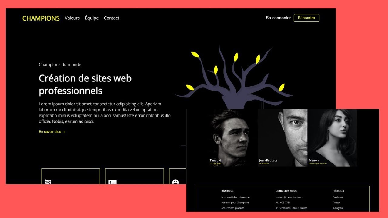 FLEXBOX CSS : Créer un Site Complet Moderne, Professionnel et Responsif avec les Flexbox !