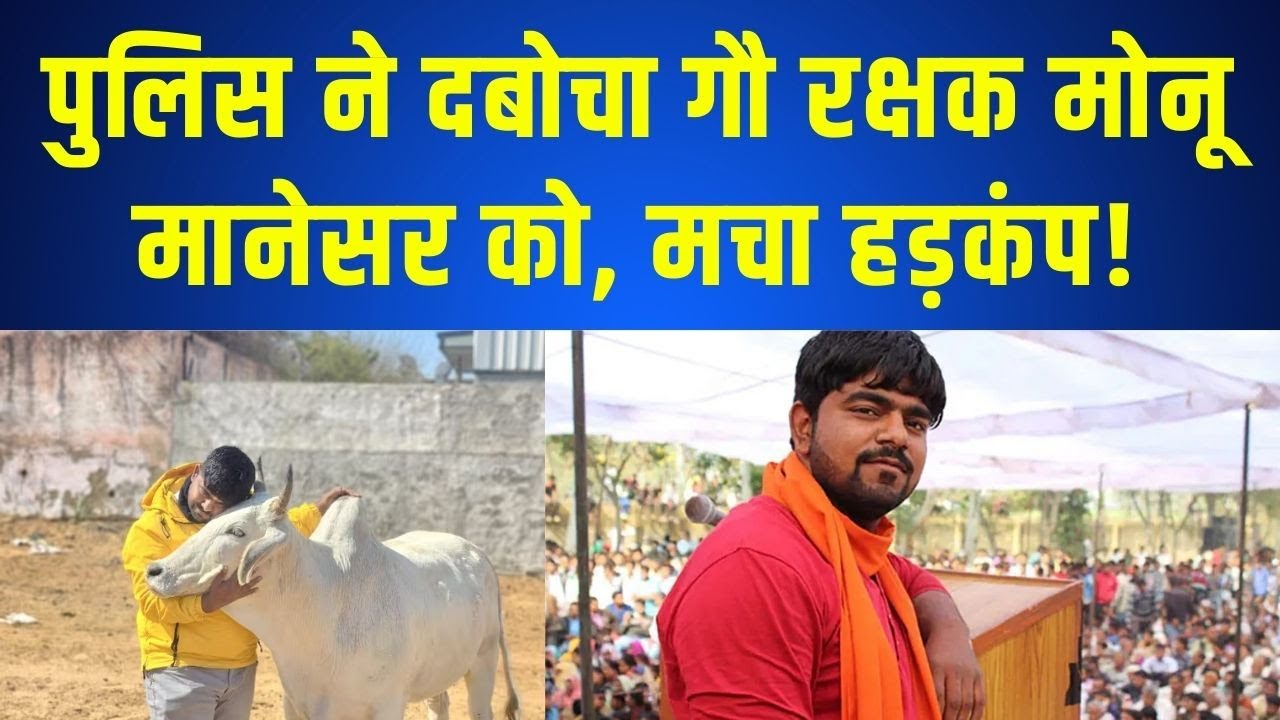 Police ने दबोचा गौ रक्षक Monu Manesar को, मानेसर में  मचा हड़कंप! | India News Rajasthan