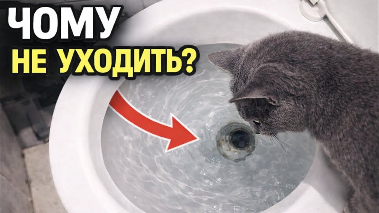 Вот почему плохо сливается вода в унитазе!