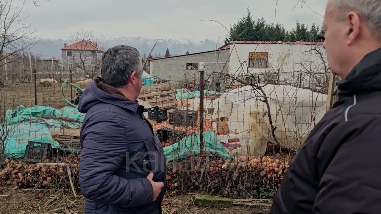 MALIQ, PRODHIMET MBETEN STOK, FERMERËT ANKOHEN PËR MUNGESËN E TREGUT TË SHITJES