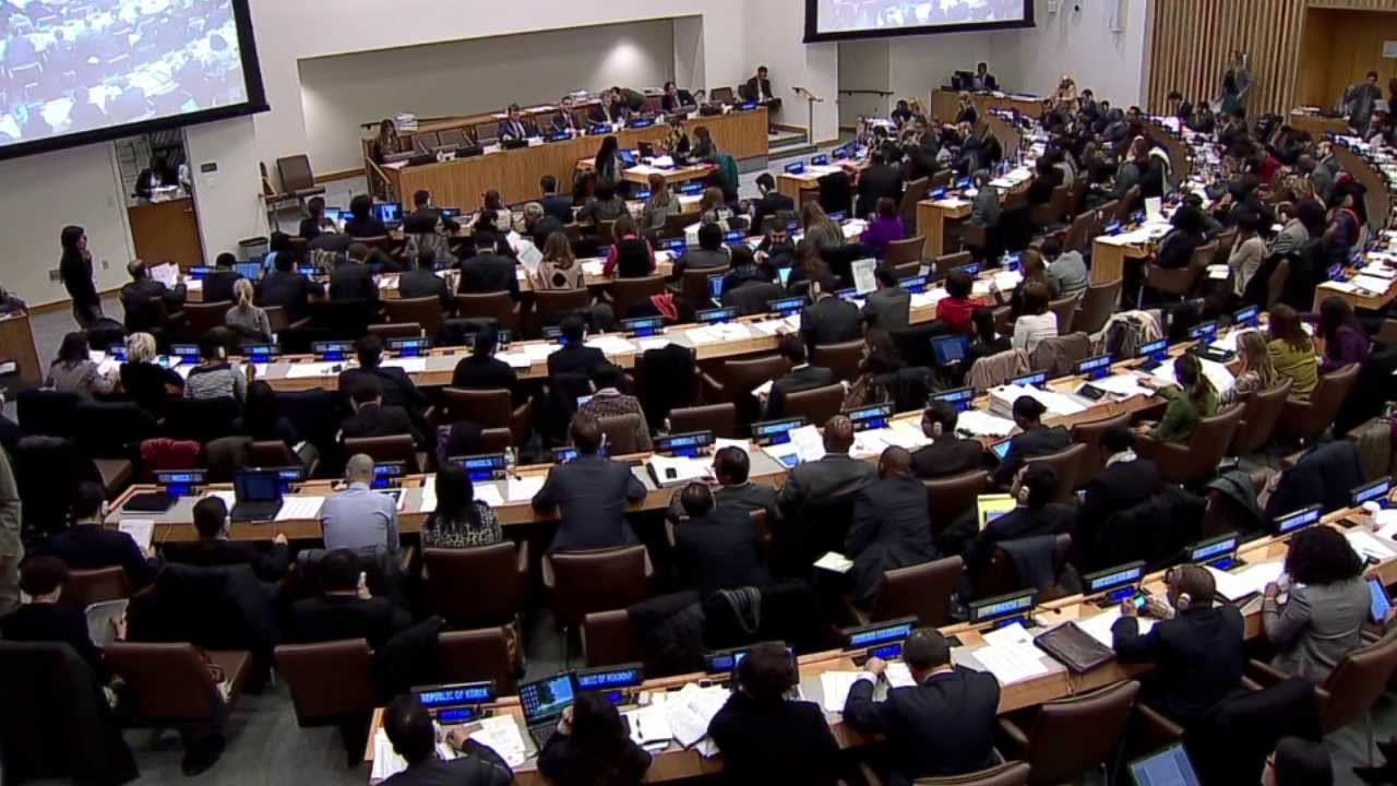 The 3rd Committee of the UN General Assembly