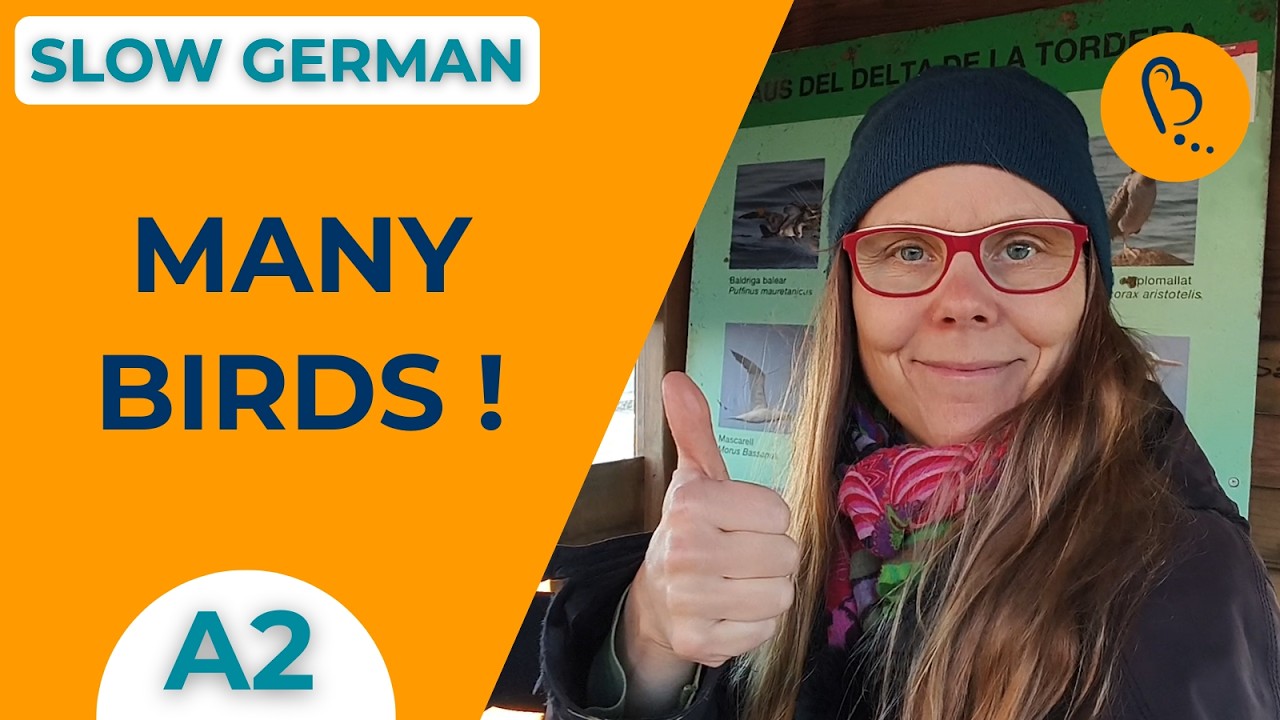 Learn German in Nature - Birds After the Storm 🐦 | Easy Vlogs #8 | German Comprehensible Input [B1]