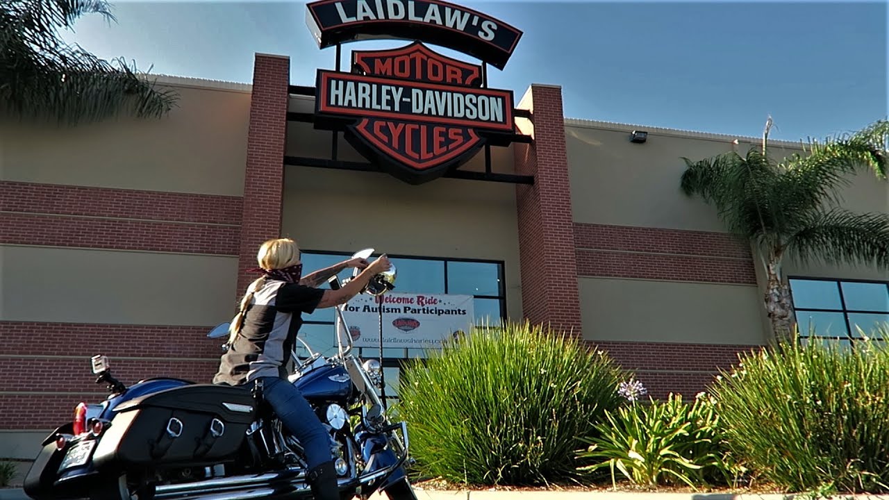 Моббин Робин │ 2009 Harley-Davidson Softail Deluxe