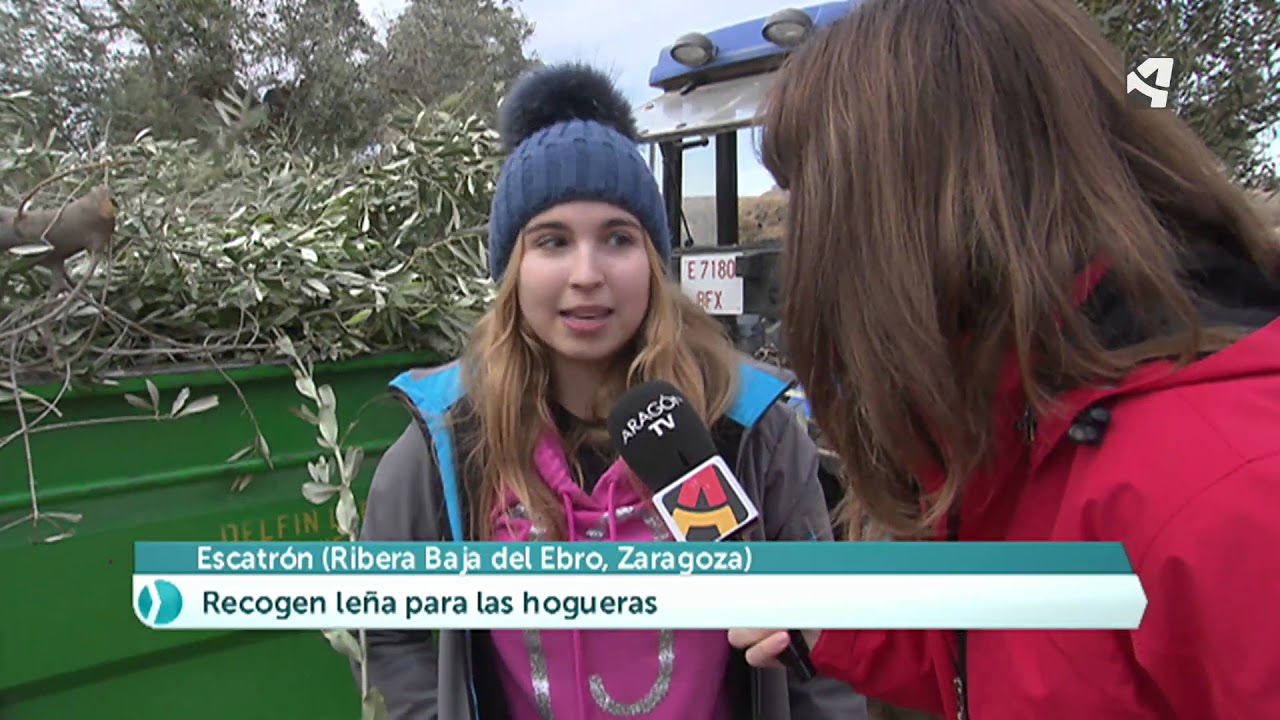 Recogida de leña en Escatrón para la hoguera de Santa Ágeda