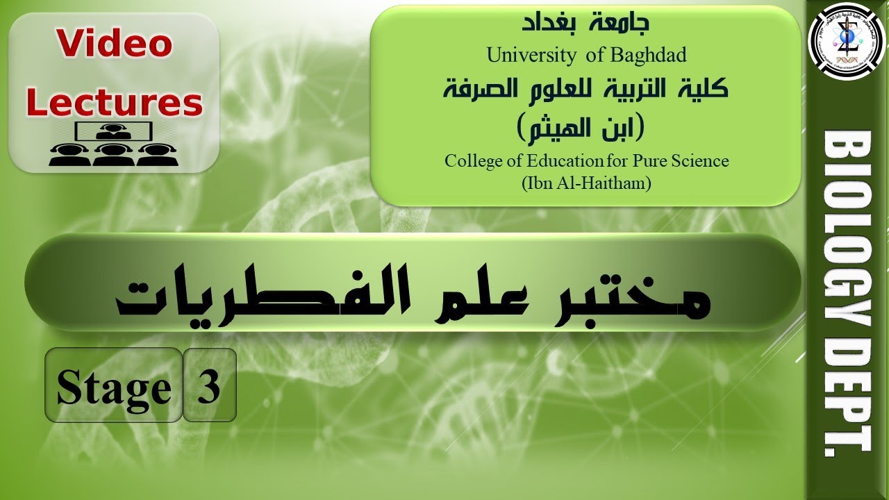 مختبر 12 ج2:  الفطريات اللاقحية والكيسية - مختبر علم الفطريات