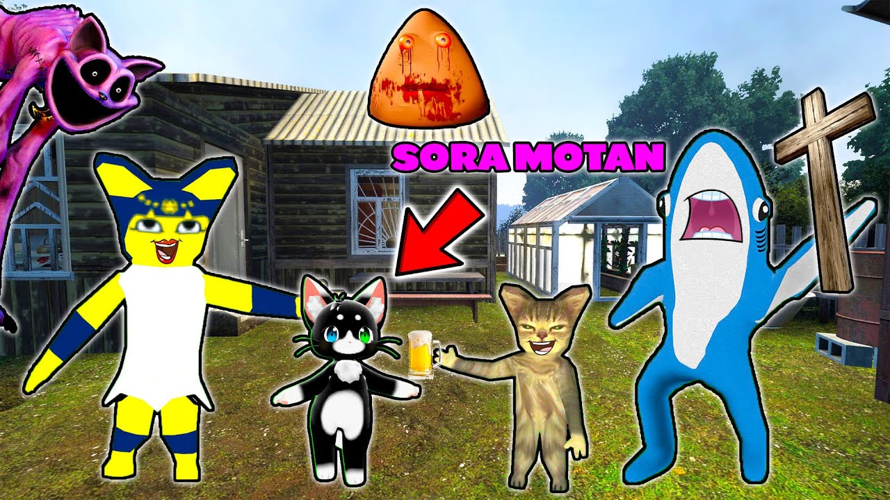 MAMA MOTAN A NASCUT PE SURIOARA DOMNULUI MOTAN! SORA MOTAN ESTE NOUL MEMBRU A FAMILIEI MOTANILOR!