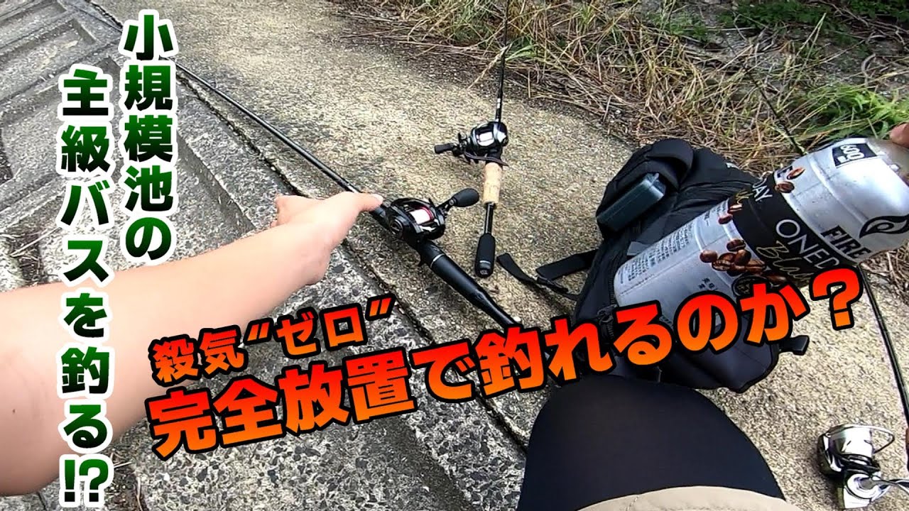 【驚愕】完全放置で小規模池の主級バスを釣れるのか？