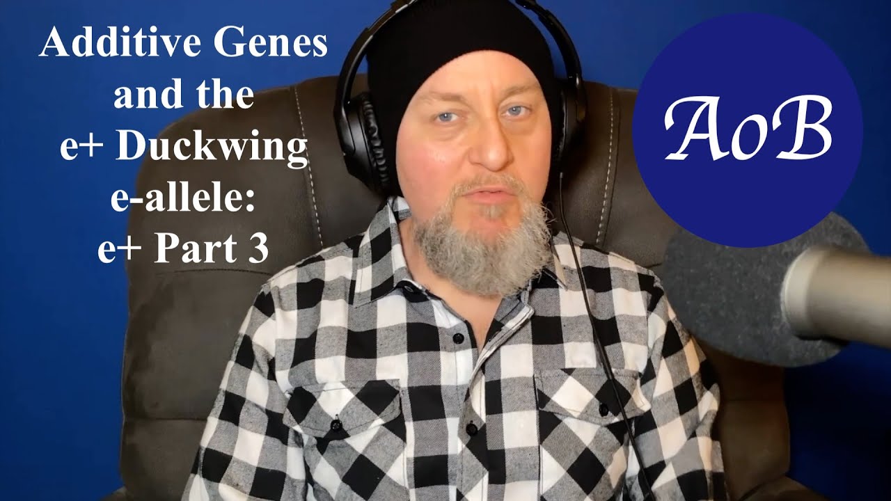 Poultry Color Genetics: The Duckwing E-allele e+: Part 3 - Additive Genes