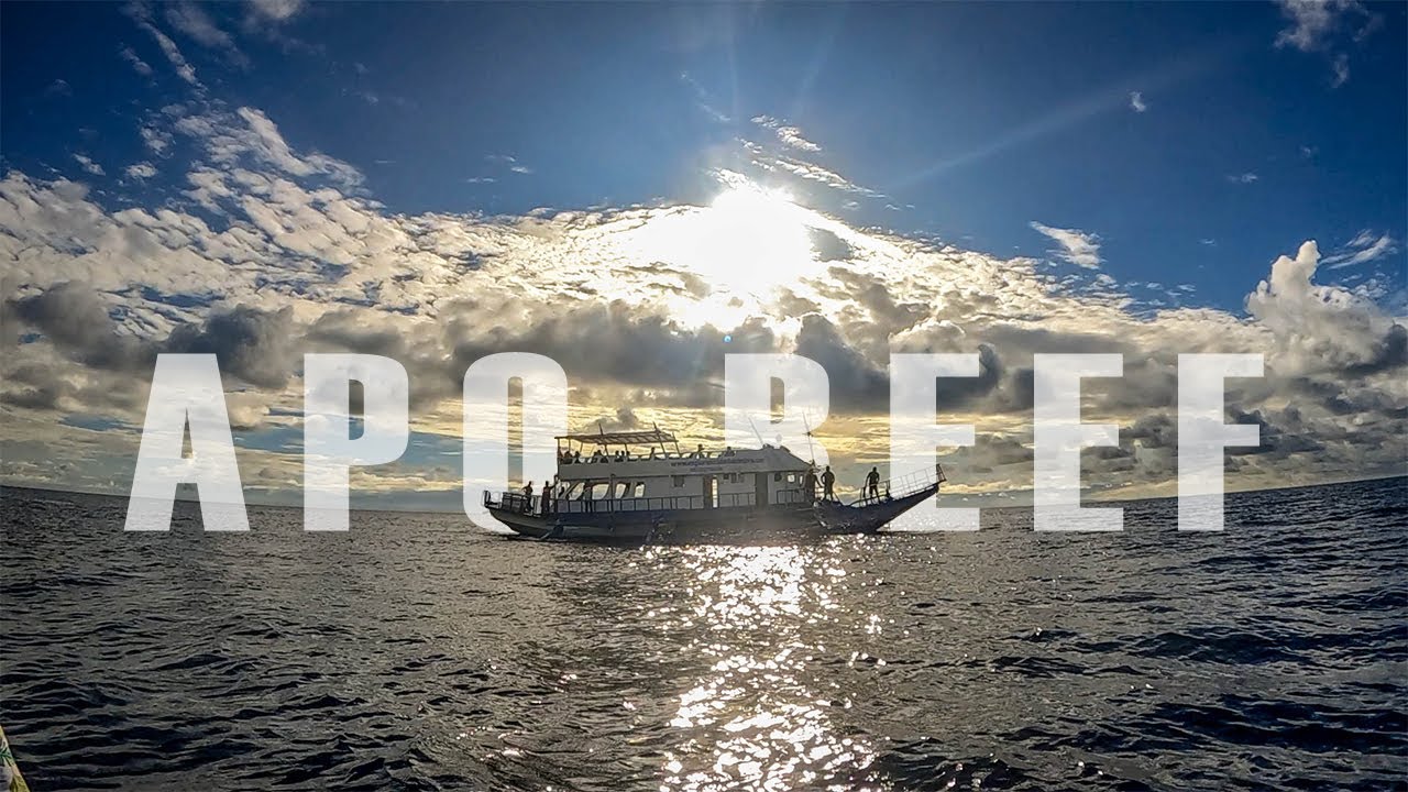 APO REEF 2022 | SEANGLE BREATH EVENT