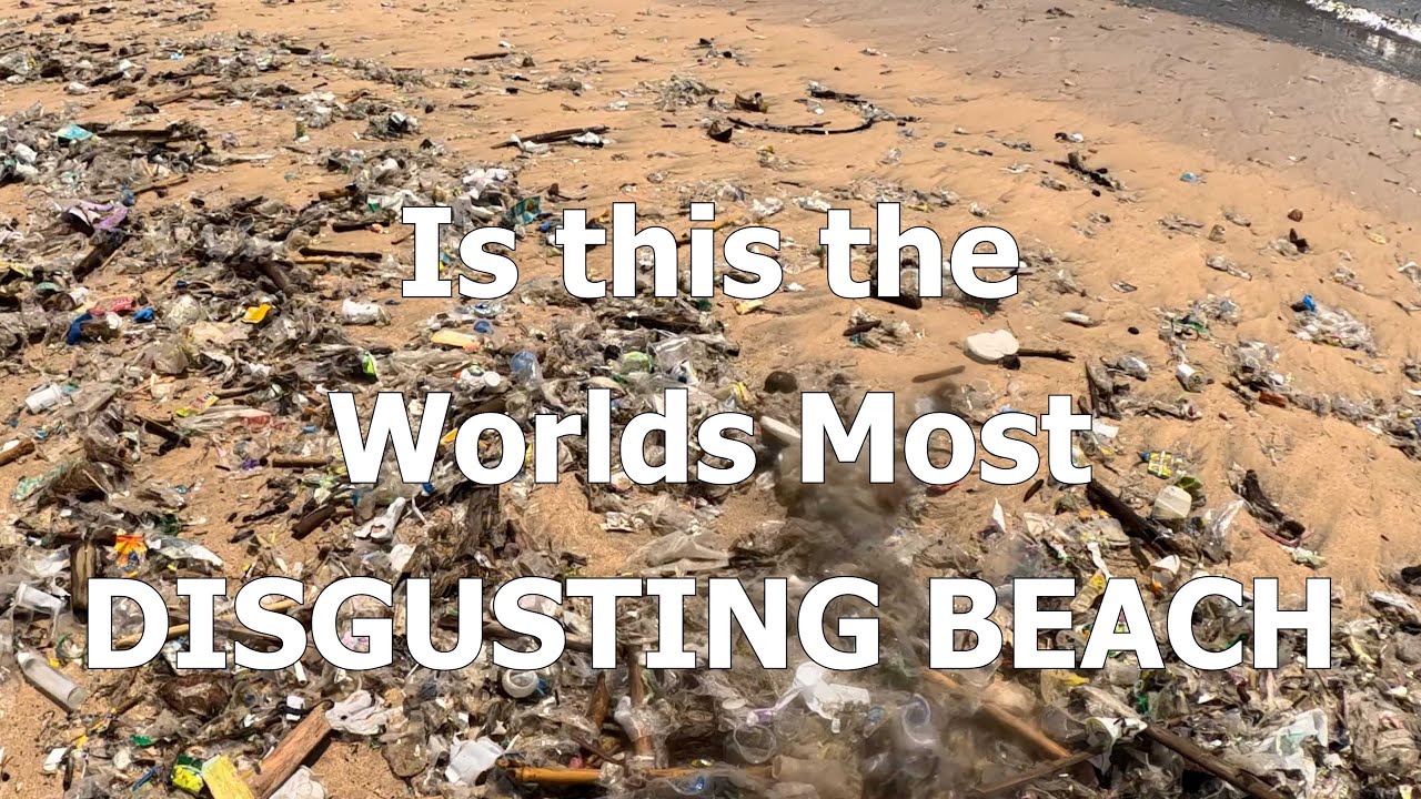 Rotary Beach Cleanup