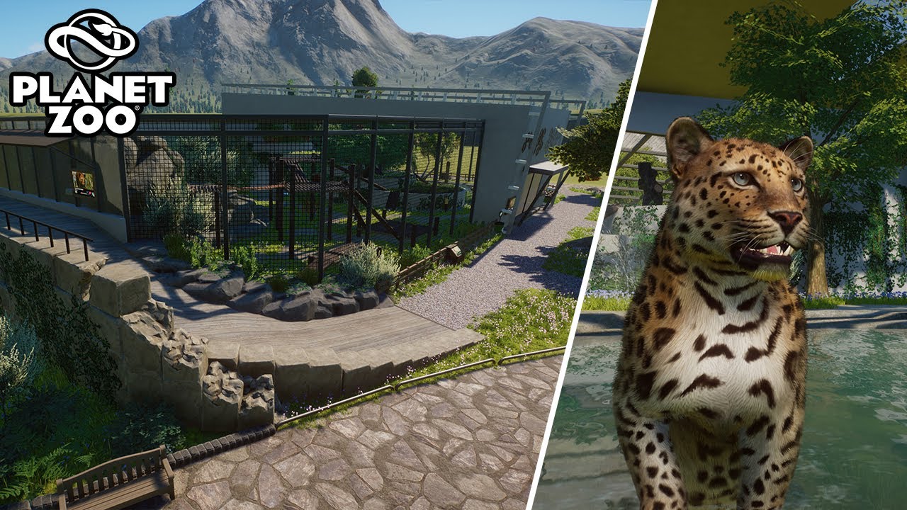 Building a Beautiful Modern Amur Leopard Habitat in Planet Zoo! | Anima Zoo
