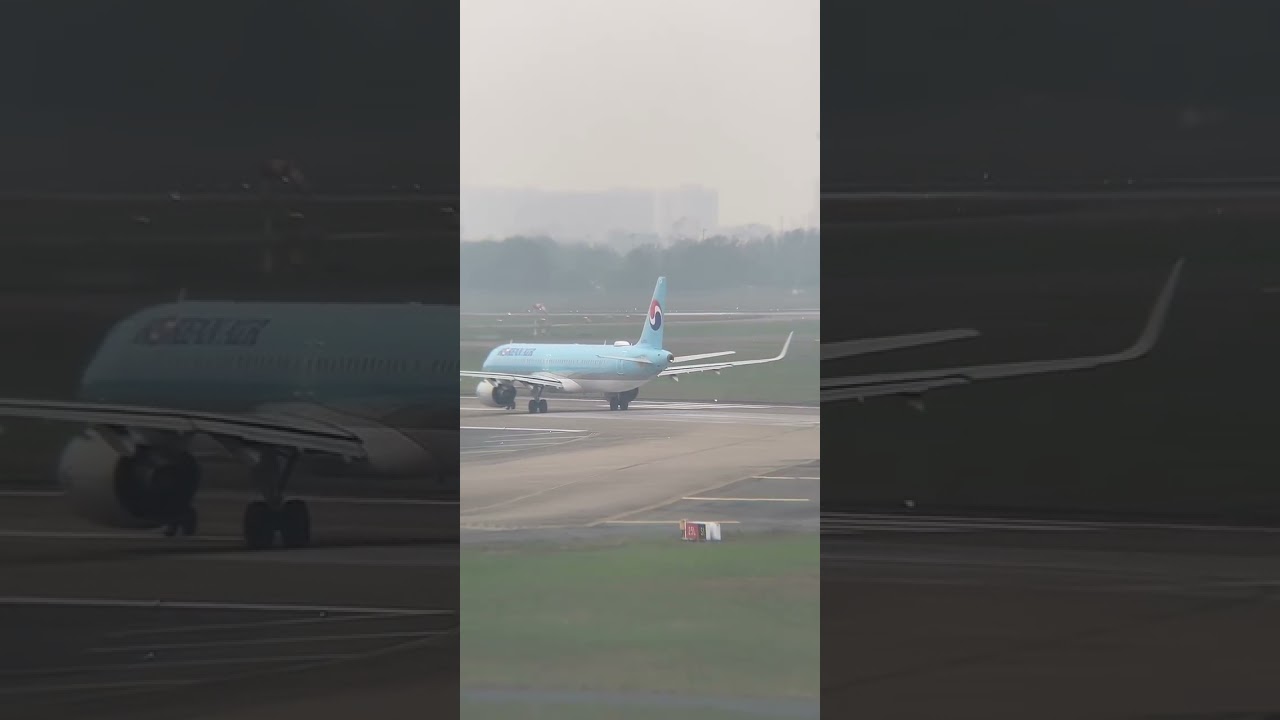 (Part2) Afternoon 11/1/2026 live at Tan Son Nhat airport HCM Hai Beo Ba Vi