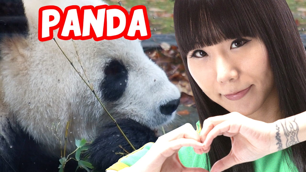 Ueno! A casa do Panda no Japão! (Tamo Junto) Tsubasa Imamura