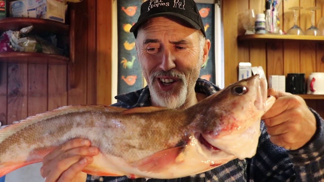 Red Cod- Yellow Curry Catch & Cook