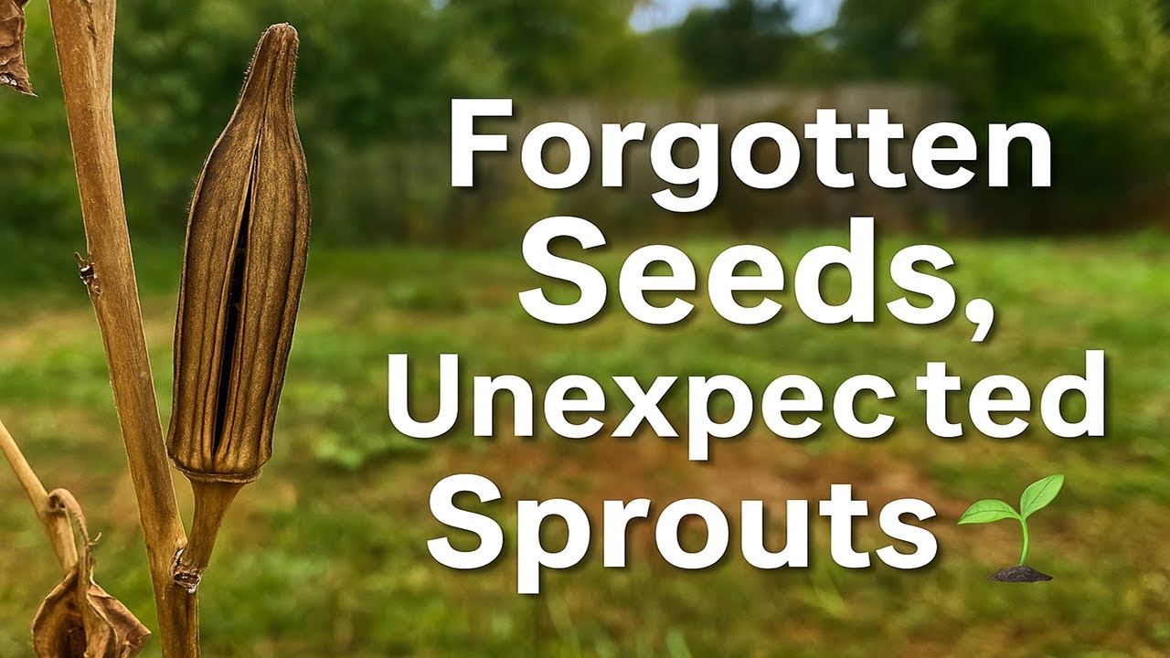 These Seeds Survived Winter&mdash;And Still Sprouted!
