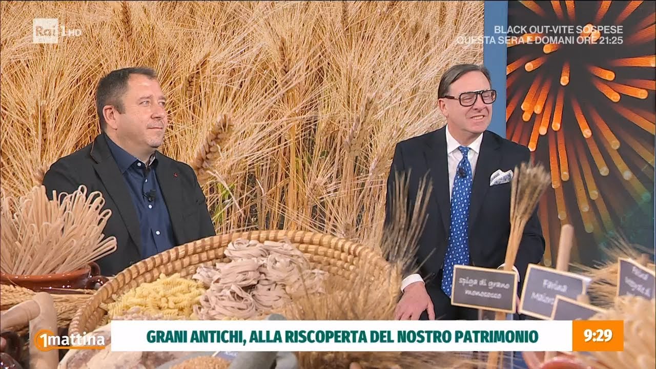 Le qualità nutritive dei grani antichi - Unmattina 23/01/2023