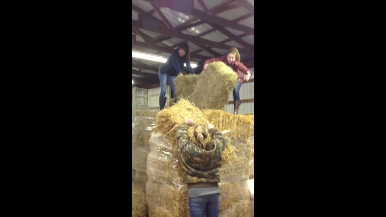 CTC FFA AM Mannequin Challenge