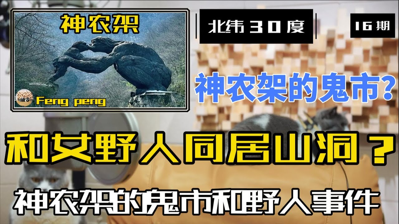 神农架与女野人同居山洞的故事传说；神农架的鬼市和野人目击事件