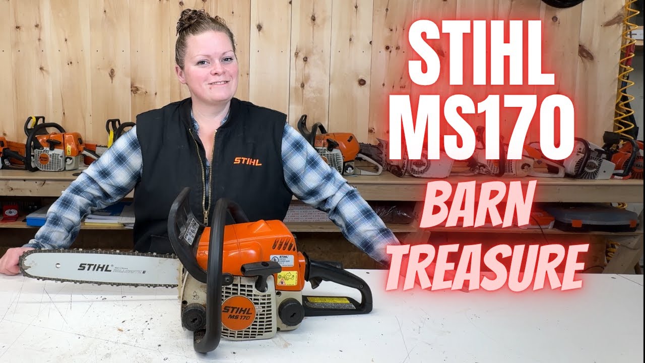 Найден в сарае: Stihl MS170 22-летней давности!
