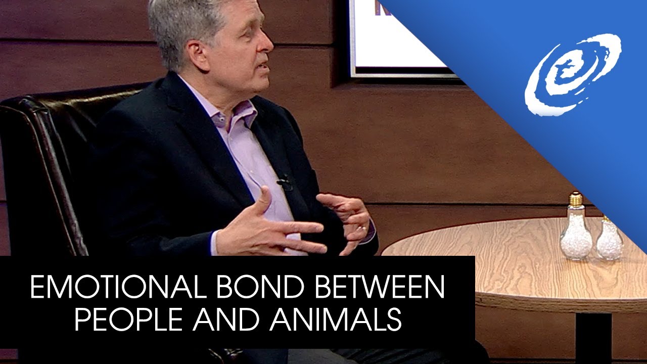Emotional Bond Between People and Animals