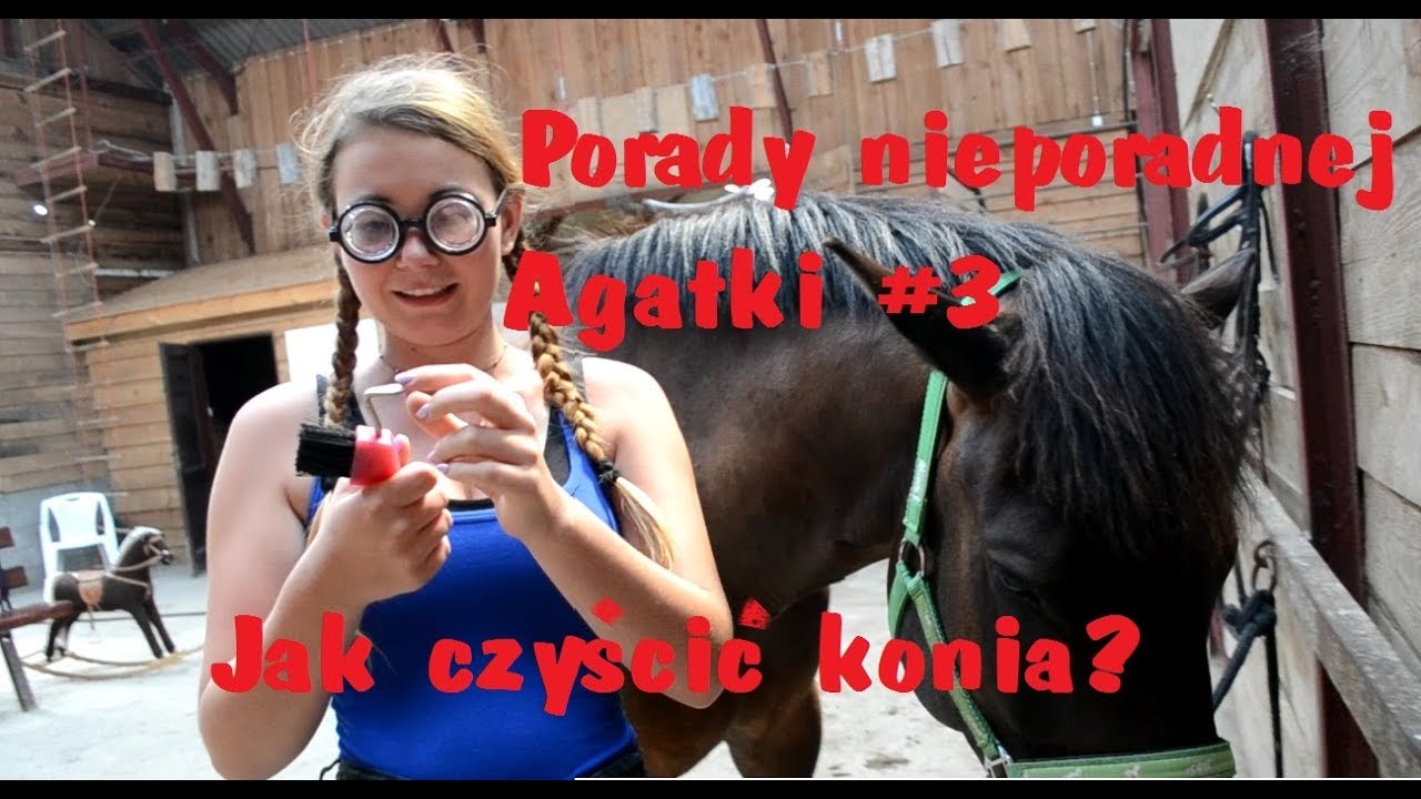 Porady nieporadnej Agatki #3 | Jak prawidłowo czyścić konia?