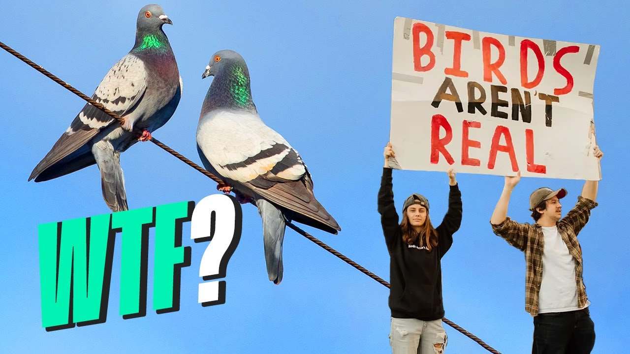 ¿Por qué hay gente que dice que los pájaros NO son reales? MLCYMC #7