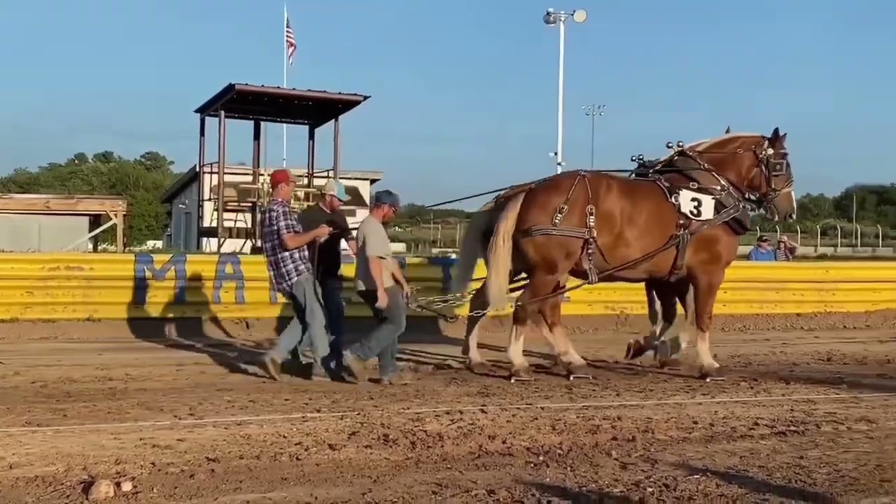 Onekama Horse Pulls 2023